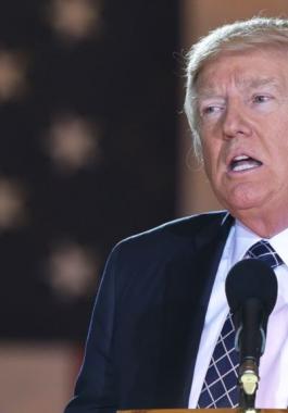 استقالة نائب مدير 