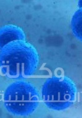 الخلايا الجذعية