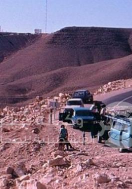 شارع-بمحاذاة-سيناء