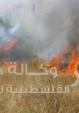 حريق_19