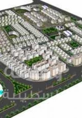 التنمية والاصلاح