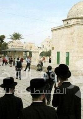 04fd2fd979ba234aed29af12394bb52c