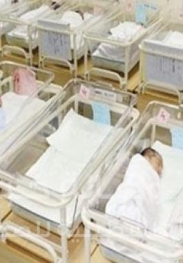 مواليد 