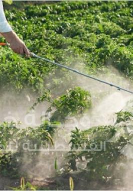 pesticide