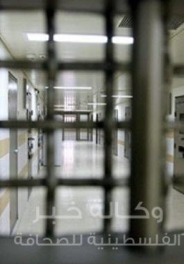 الأسرى في سجون الاحتلال 