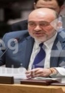 اسرائيل في مجلس الأمن