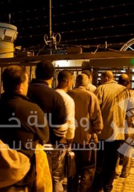 عمال-اسرائيل