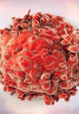  علماء: يدعون اكتشاف أول علاج نهائي 