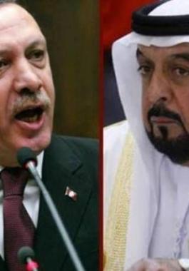 وزير إماراتي: العلاقات العربية التركية ليست في أحسن حالاتها