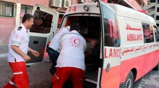 مصرع طفل إثر تعرضه لعضة أسد بمدينة أصداء الترفيهية في خانيونس 