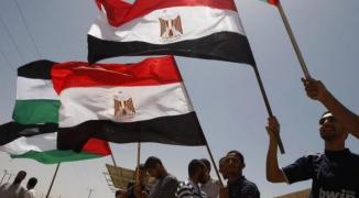 صحيفة عربية تكشف تفاصيل اتصالات سياسية بين الفصائل بغزّة والوسيط المصري