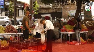 مهرجان العنب السنوي