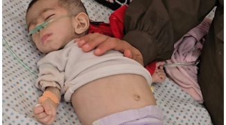 لقطة الشاشة 2025-05-03 101500.png