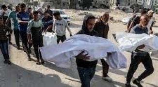 تنزيل (24).jpeg