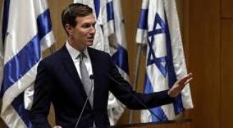 تنزيل (17).jpeg