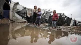 تنزيل (27).jpeg