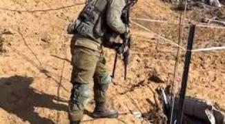 تنزيل (19).jpeg