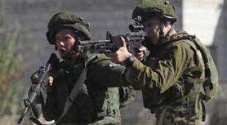 تنزيل (15).jpeg