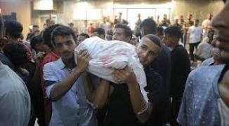 تنزيل (24).jpeg