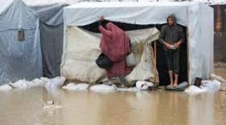 تنزيل (31).jpeg