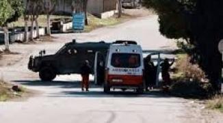 تنزيل (15).jpeg