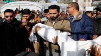 تنزيل (20).jpeg