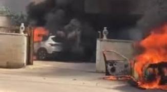 تنزيل (29).jpeg