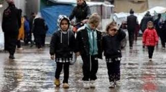 تنزيل (17).jpeg