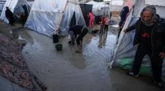 تنزيل (20).jfif