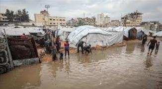 تنزيل (20).jfif