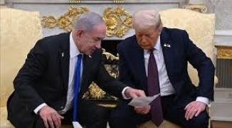 تنزيل (20).jfif