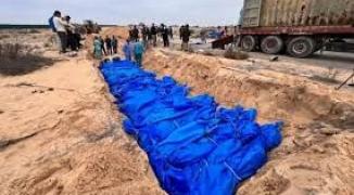 تنزيل (23).jpeg