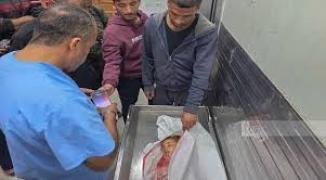 تنزيل (20).jpeg