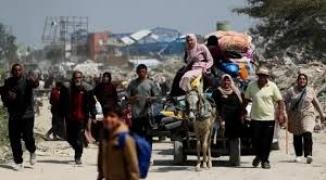 تنزيل (18).jfif