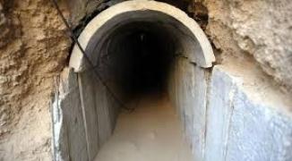 تنزيل (21).jfif