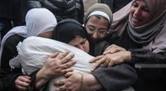 تنزيل (10).jfif