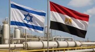 تنزيل (13).jfif