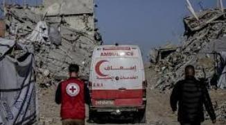 تنزيل (15).jpeg