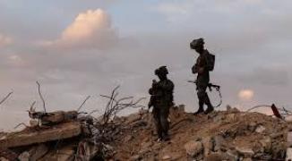 تنزيل (18).jfif