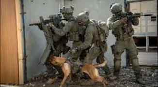 تنزيل (23).jfif