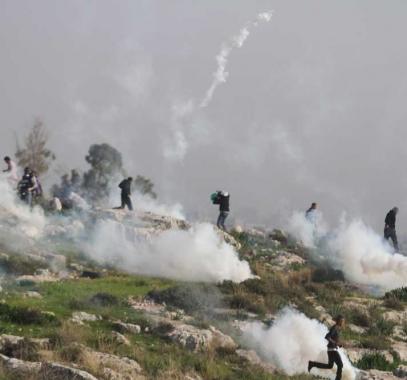 7ffcfb9343f108ae89005709118ed32c