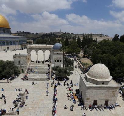 5593d282c46188b8388b458d