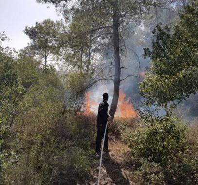 الشاباك الإسرائيلي يستجوب 3شبان بتهمة بحرق حشائش في سلفيت