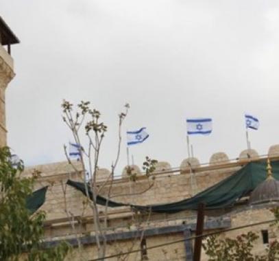 631سشثببلصثقل