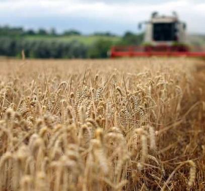 العراق: يسعى لشراء 