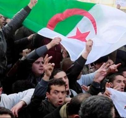 احتجاجات الجزائر