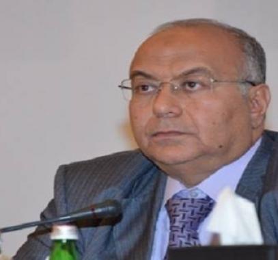 محمد السعيد ادريس.jpg