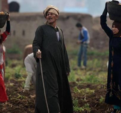 البنك الدولي: يدعم شركات مصرية بـ200 مليون دولار