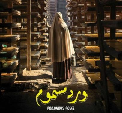 مصر: ترشح 7 أفلام 
