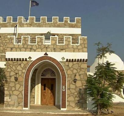 بالفيديو: رجل 